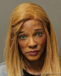 Mugshot of SHELBY MARIE FINLEY