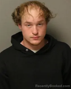 Mugshot of SHAWN OLPHIA H PRICE