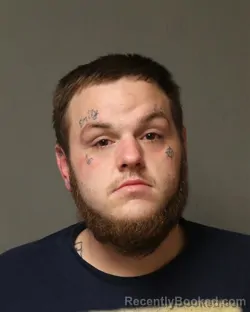 Mugshot of DAKOTA MICHAEL HARRIMAN