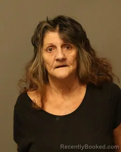Mugshot of GINA DUSK INGRAM