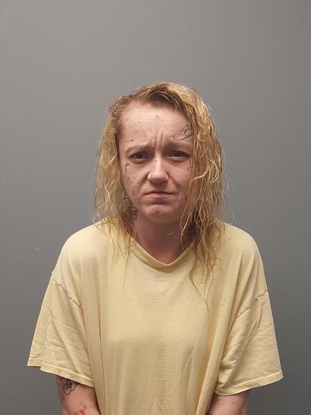 Mugshot of DARLENE BAKER