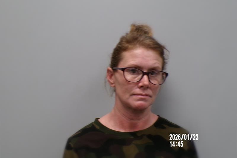 Mugshot of Heather Castleman