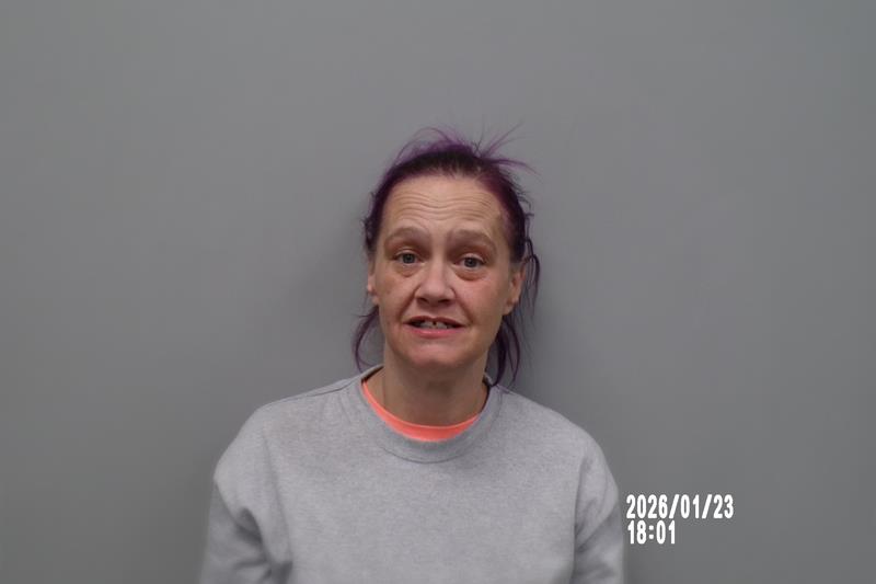 Mugshot of Misty Sabins