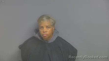 Mugshot of LISA ELLIOTT MEGGINSON