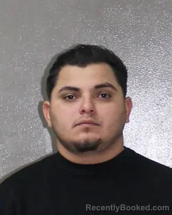 Mugshot of RENE GUZMAN TORES