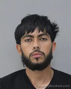 Mugshot of JOSE HERNANDEZ ECHEVERIA