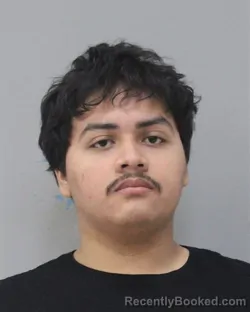 Mugshot of ANDERSON RAMIREZ-LUE