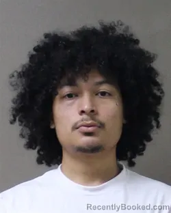 Mugshot of ANDY RAMIREZ