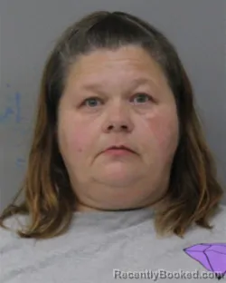 Mugshot of JESSICA COLLINS