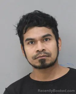 Mugshot of LUIS NERI AMADO