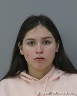 Mugshot of DAFNEE ORTIZ-RAMIREZ
