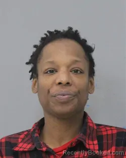 Mugshot of STEPHANIE MONIQUE DYKE