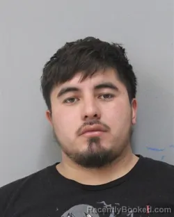 Mugshot of YOSLIN CASTILLO