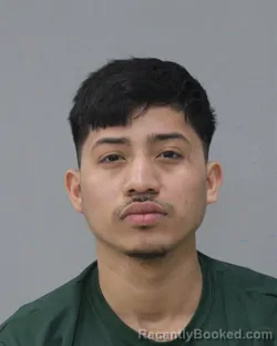 Mugshot of ANNER ALCANTRA