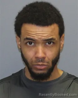 Mugshot of CHRISTOPHER JORDAN WILSON