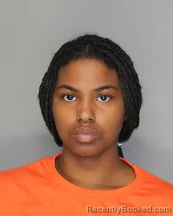 Mugshot of BROOKLYN-LEE SHEVON MCBRIDE-WATSON