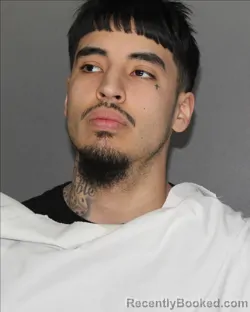 Mugshot of MICHAEL ARREDONDO