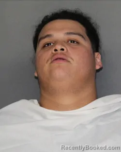 Mugshot of ESTEVAN FLORES