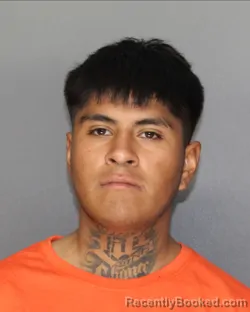 Mugshot of JUAN GONZALEZ