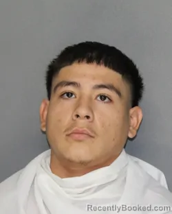 Booking photo from Ellis County, Texas