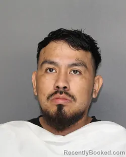 Mugshot of ROYER PEREZ MANSILLA