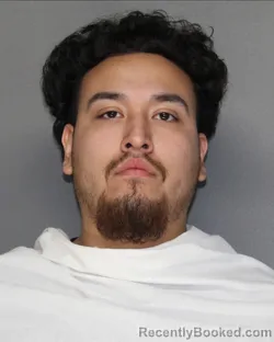 Mugshot of JOSE GUADALUPE REYES