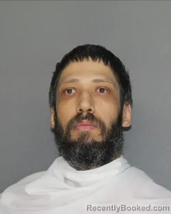 Booking photo from Ellis County, Texas