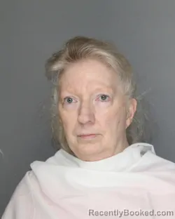 Mugshot of VANESSA JEAN TORREZ