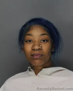 Mugshot of LYRICK JAYLEON RITCHERSON