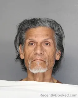 Mugshot of RAMON FUENTES PALACIO