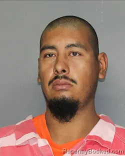 Mugshot of FRANCISCO VALDEZ