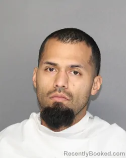 Mugshot of MIGUEL ANGEL MORALES