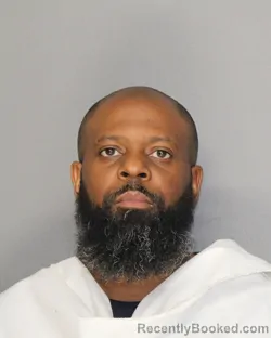 Mugshot of DEREK L HOLLANDS