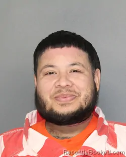 Mugshot of FERNANDO SOTO