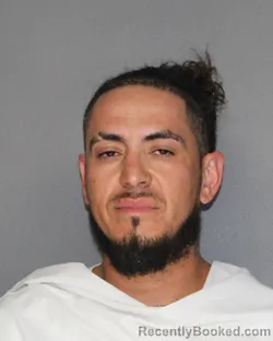 Mugshot of ISMAEL JR SALAS