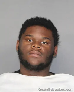 Booking photo from Ellis County, Texas