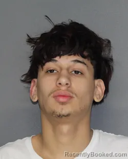 Mugshot of ELIJAH LUNA
