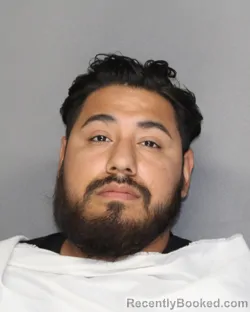 Booking photo from Ellis County, Texas