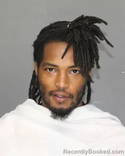 Booking photo from Ellis County, Texas