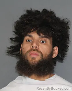 Mugshot of THEODORE TENNYSON SMITH