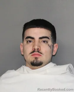 Mugshot of DIEGO ALEJANDRO VEGA-MINDIOLA