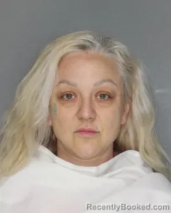 Mugshot of HEIDI CHERIE JONES
