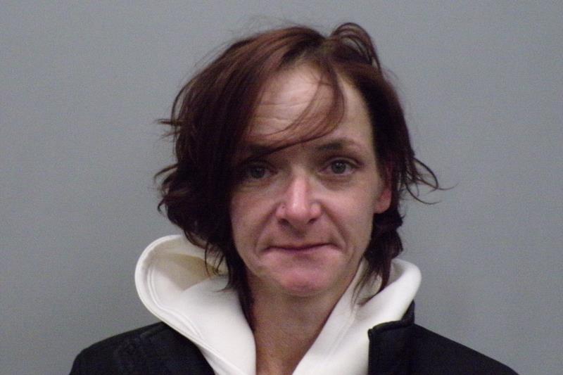 Mugshot of Joyce Roseann CLOWER