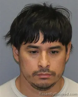 Mugshot of DODANIM N AGUIRRE