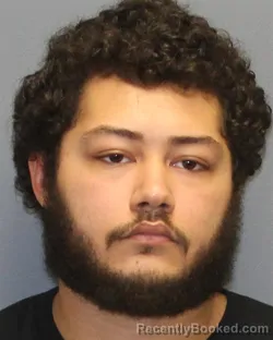 Mugshot of KOBE MICHAEL BRILL