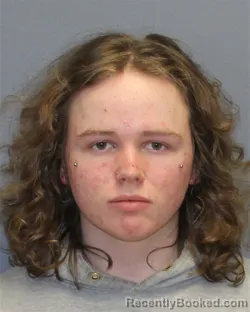 Booking photo from Frederick County, Virginia