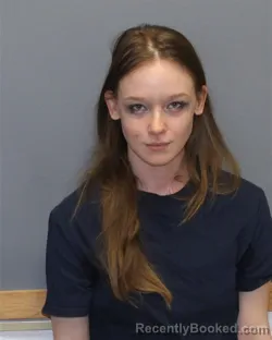 Mugshot of AMY LYNN SMITH