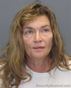 Mugshot of BOBBIE JO HILLYARD