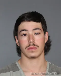 Mugshot of JORGE GABRIEL CARMONA