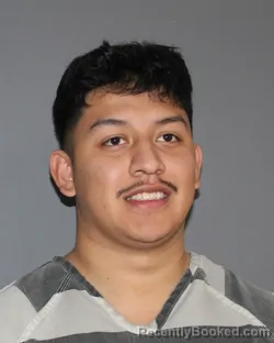 Mugshot of RAUL CABRERA VILLEGAS
